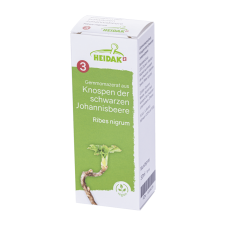 GEMMO-MAZERAT Ribes nigrum Spray - Markt-Apotheke Greiff